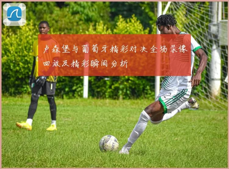 卢森堡与葡萄牙精彩对决全场录像回放及精彩瞬间分析