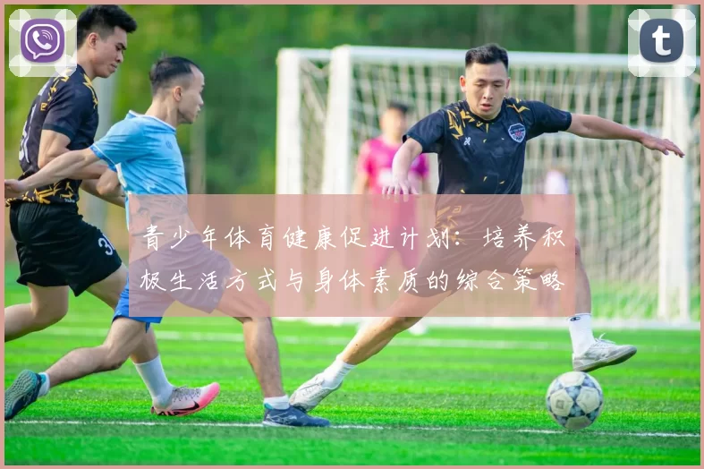 青少年体育健康促进计划：培养积极生活方式与身体素质的综合策略